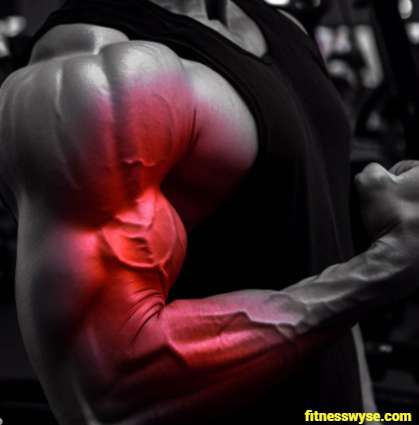 Workout Biceps